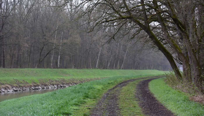 Cyklostezky a cyklotrasy na území města