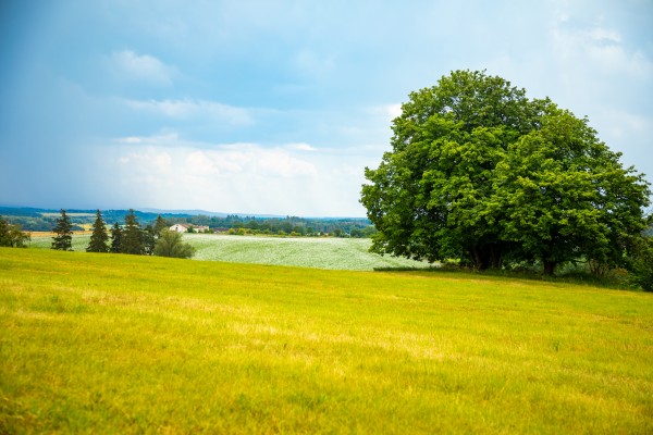 Vyhlašujeme fotosoutěž Jaro v kunovském katastru!